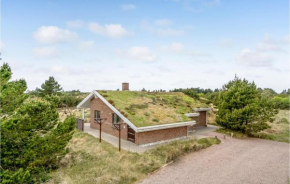 Awesome Home In Blåvand With Wifi